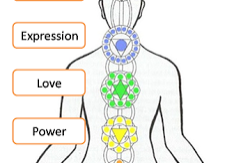 Mind and Body Chakras