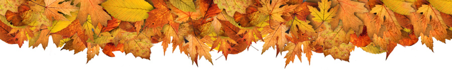 sports_fall_leaves_banner_wide_top