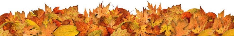 sports_fall_leaves_banner_wide_top