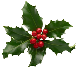 Holiday holly